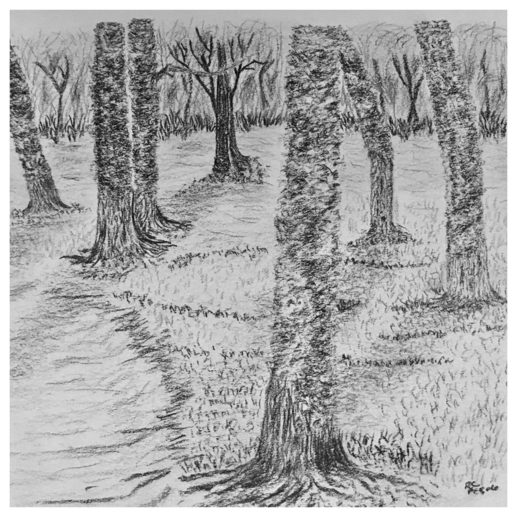 What Came First – the Knee Pain or the Under Training?  J’aime courir.  Mais mon genou me fait mal tous les jours.  To Run Through The&nbsp;Woods…