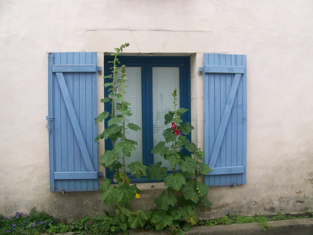 You Are His Resource.  Do One Good Deed A Day.  Waiting for the When – Through the&nbsp;Window.