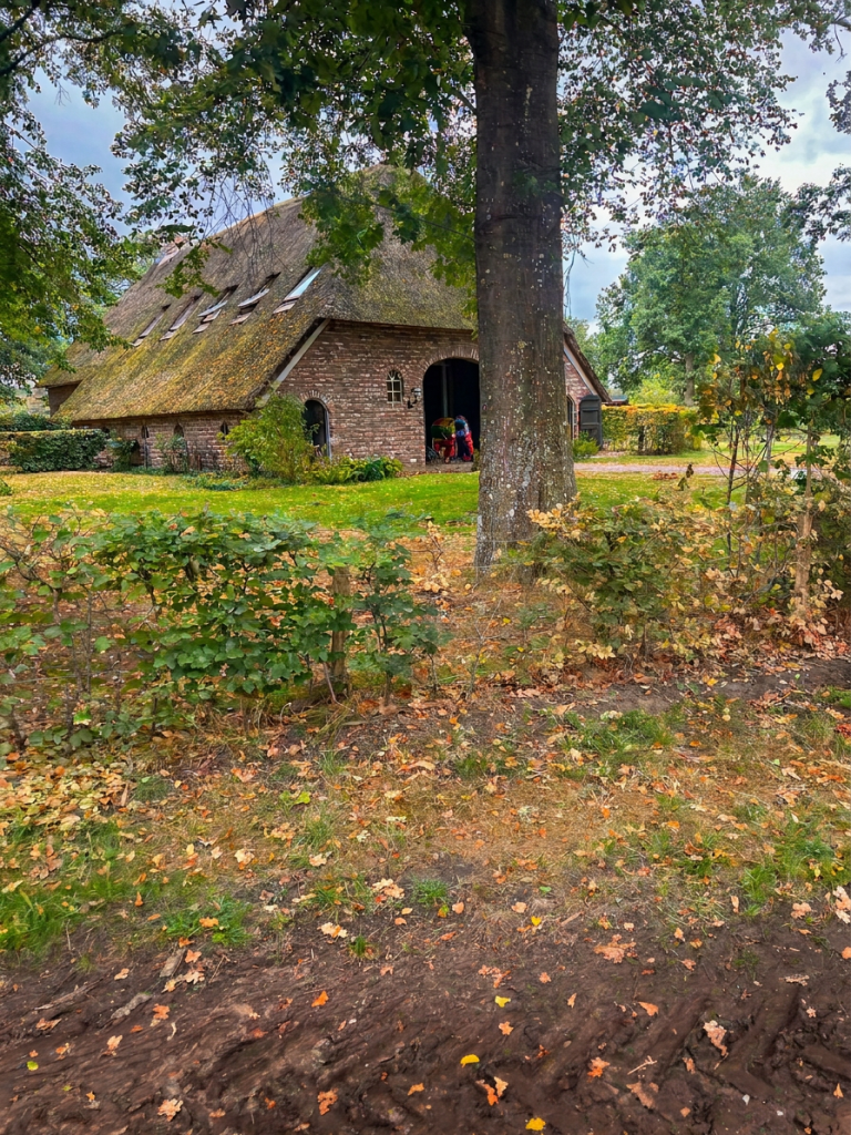 A picturesque thatched-roof building surrounded by greenery and autumn leaves, with two people carrying items near the entrance.
