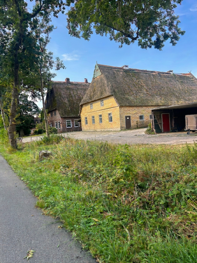 Scenic view of traditional thatched-roof houses surrounded by greenery and a clear blue sky.